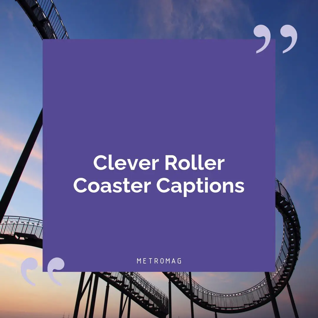 Clever Roller Coaster Captions