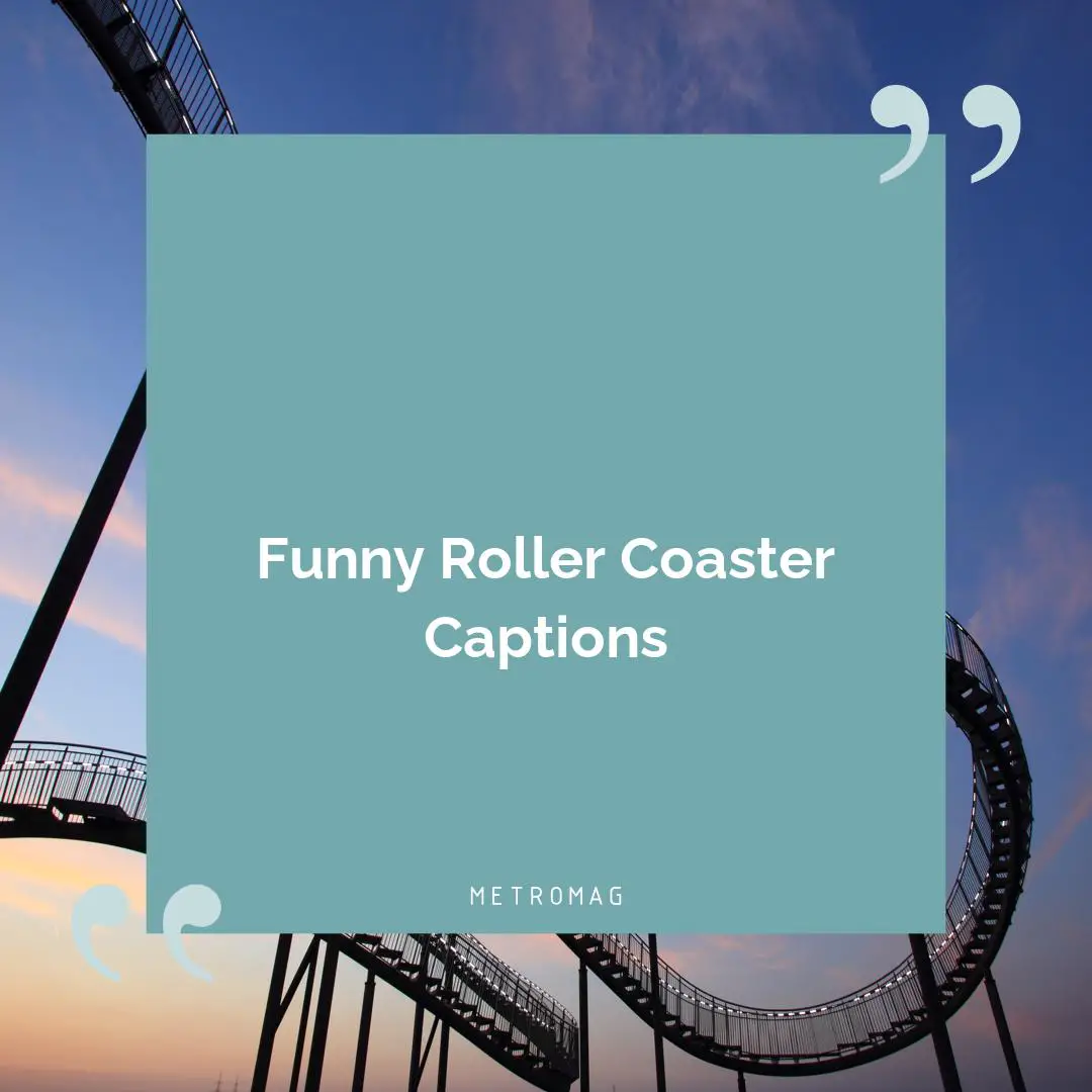 Funny Roller Coaster Captions
