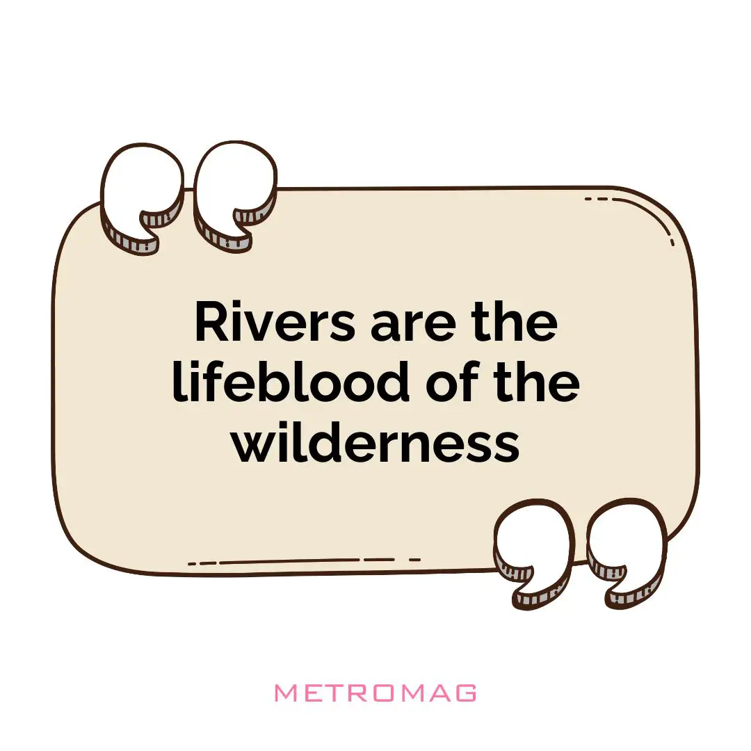 Rivers are the lifeblood of the wilderness