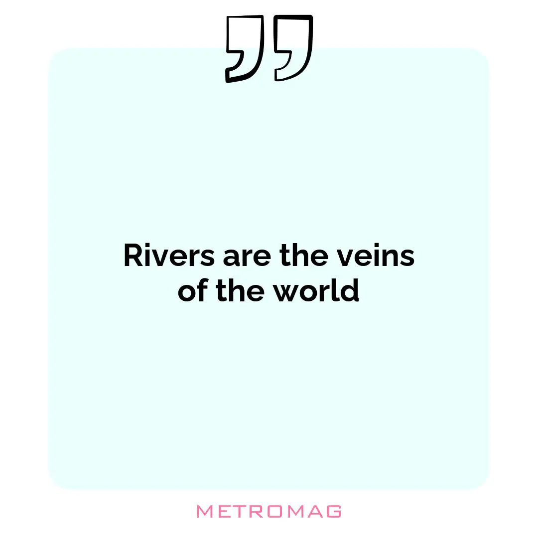 Rivers are the veins of the world