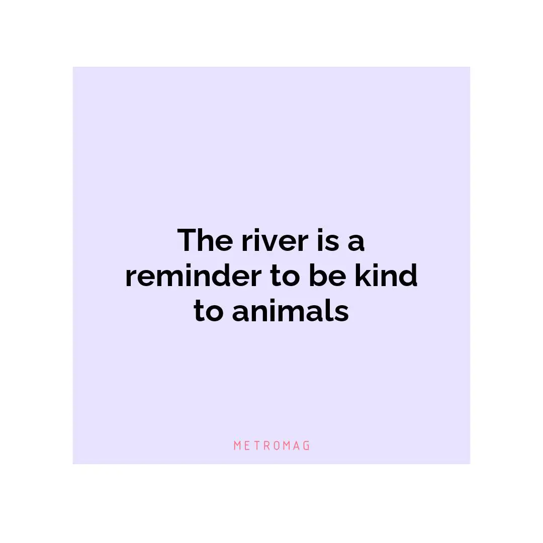 The river is a reminder to be kind to animals