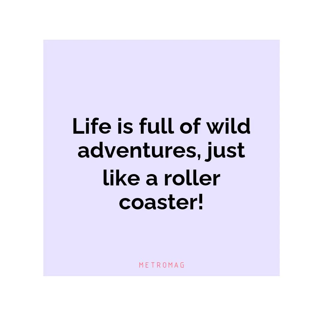 Life is full of wild adventures, just like a roller coaster!