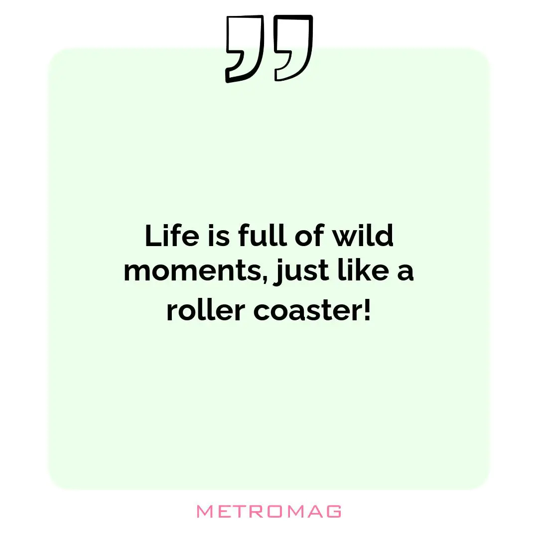 Life is full of wild moments, just like a roller coaster!