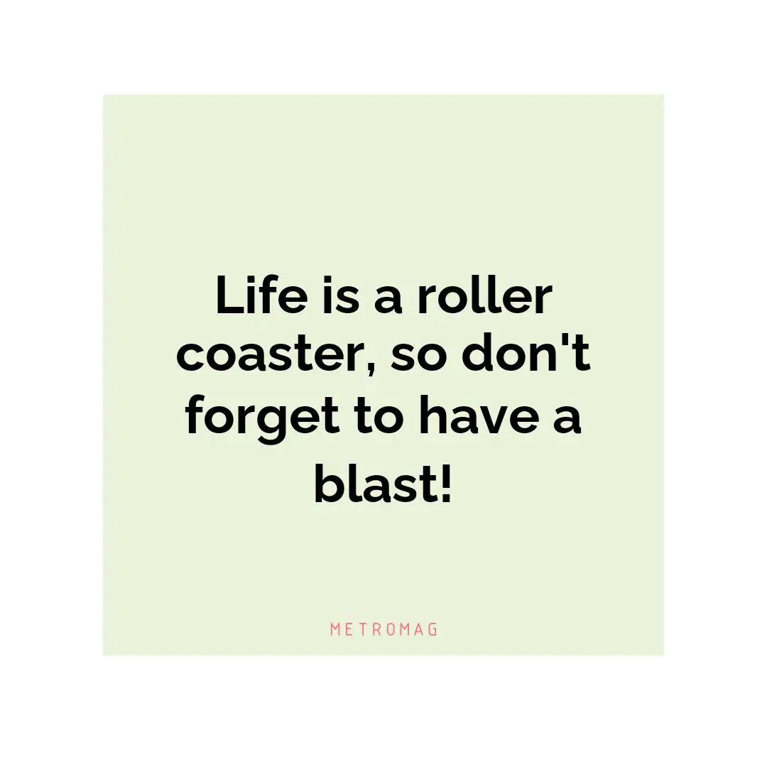 Life is a roller coaster, so don't forget to have a blast!