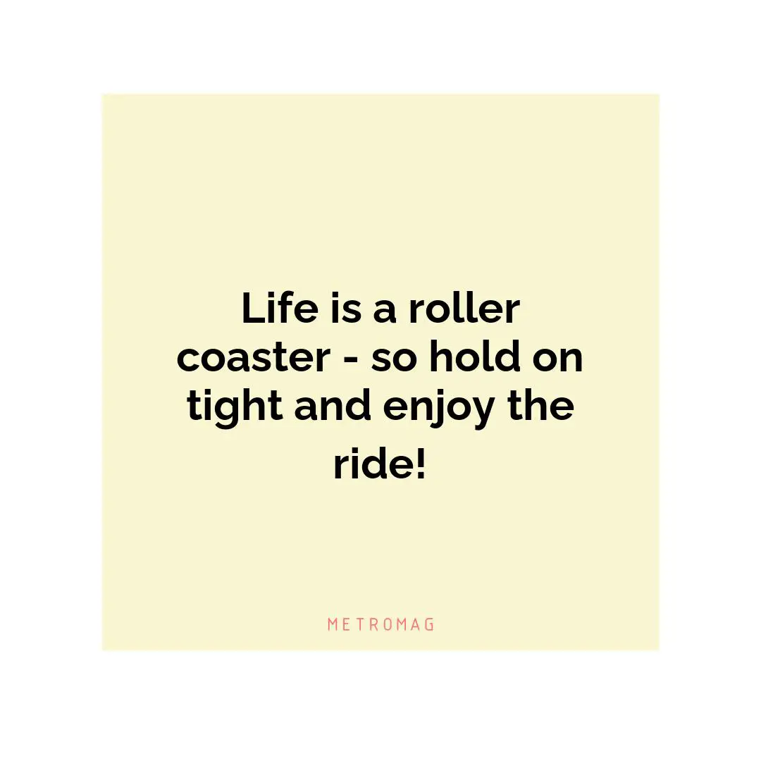 Life is a roller coaster - so hold on tight and enjoy the ride!