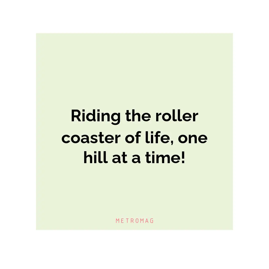 Riding the roller coaster of life, one hill at a time!