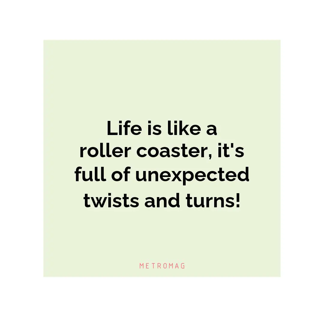 Life is like a roller coaster, it's full of unexpected twists and turns!