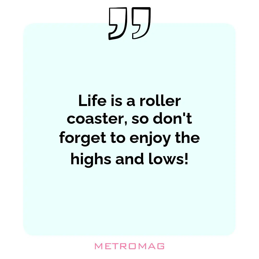 Life is a roller coaster, so don't forget to enjoy the highs and lows!
