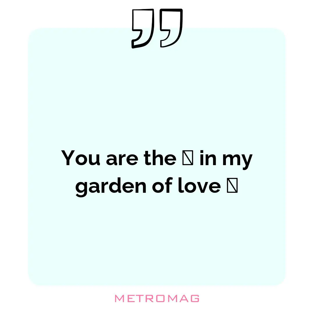 You are the 🌹 in my garden of love 🤍