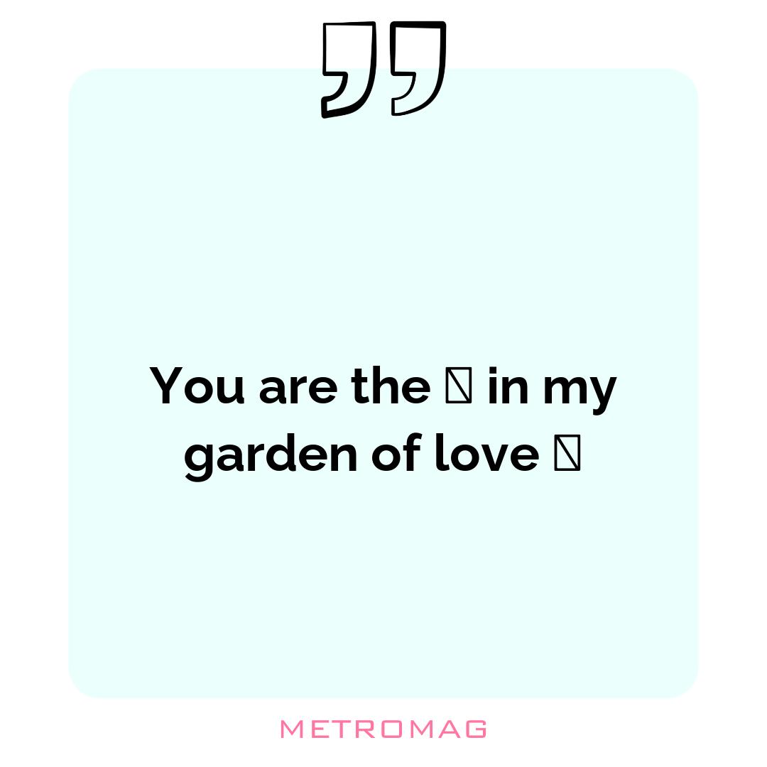 You are the 🌹 in my garden of love 🤍