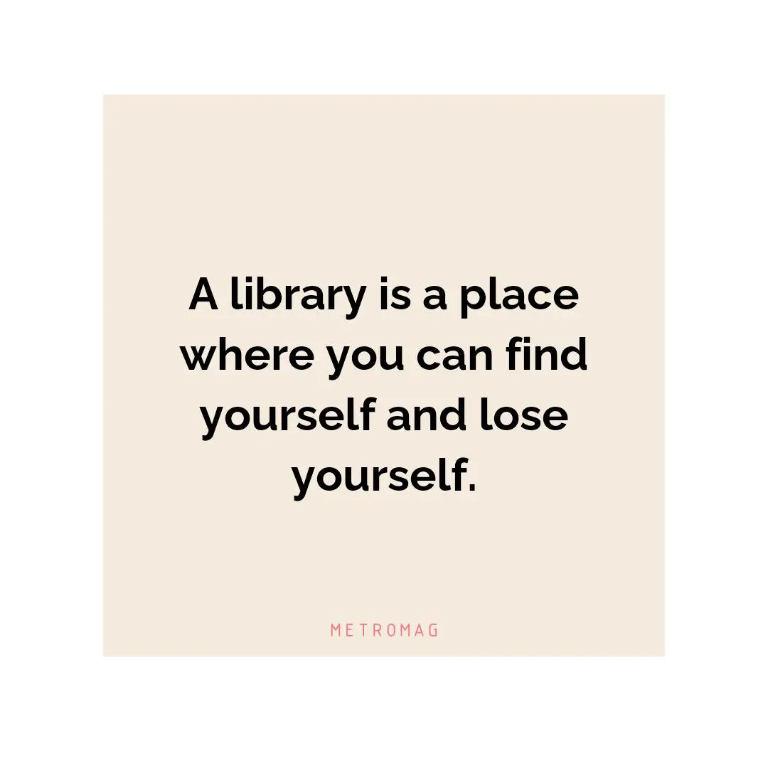 A library is a place where you can find yourself and lose yourself.