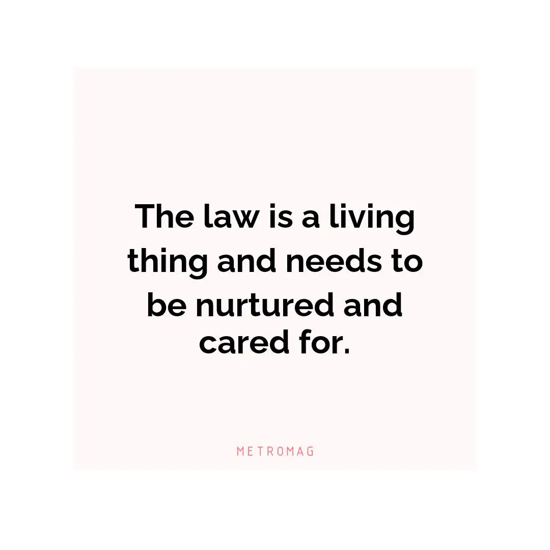 The law is a living thing and needs to be nurtured and cared for.
