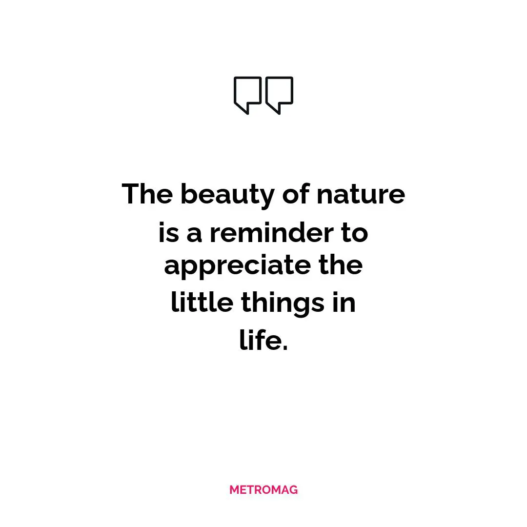 The beauty of nature is a reminder to appreciate the little things in life.
