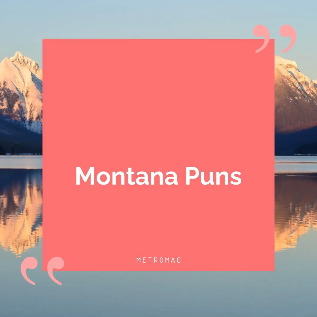 Montana Puns