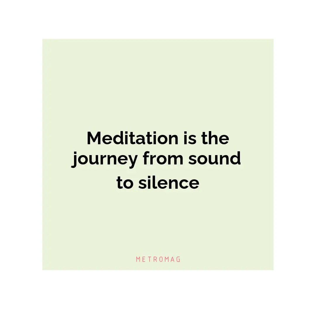 Meditation is the journey from sound to silence