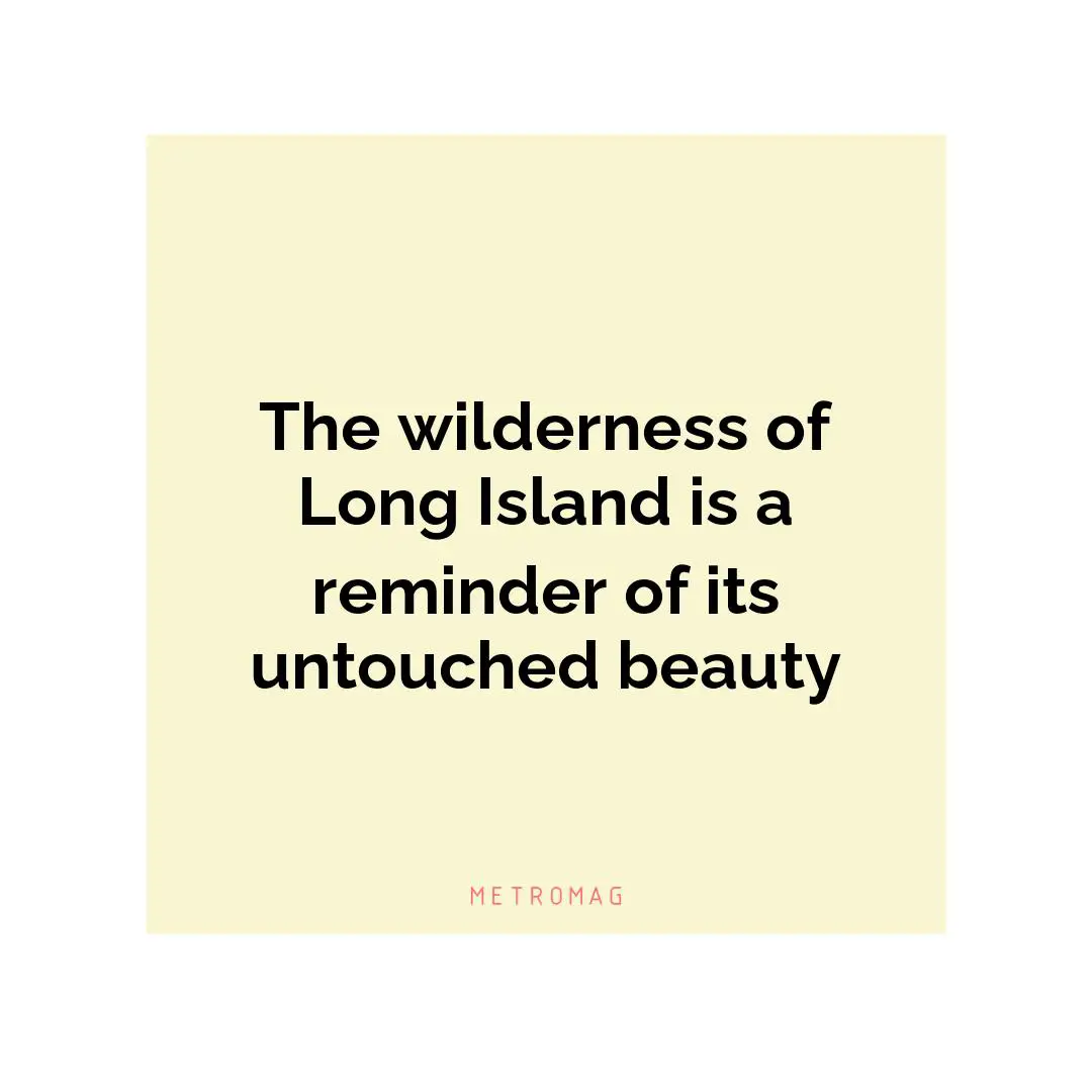 The wilderness of Long Island is a reminder of its untouched beauty