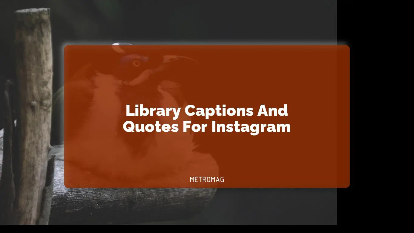Library Captions And Quotes For Instagram