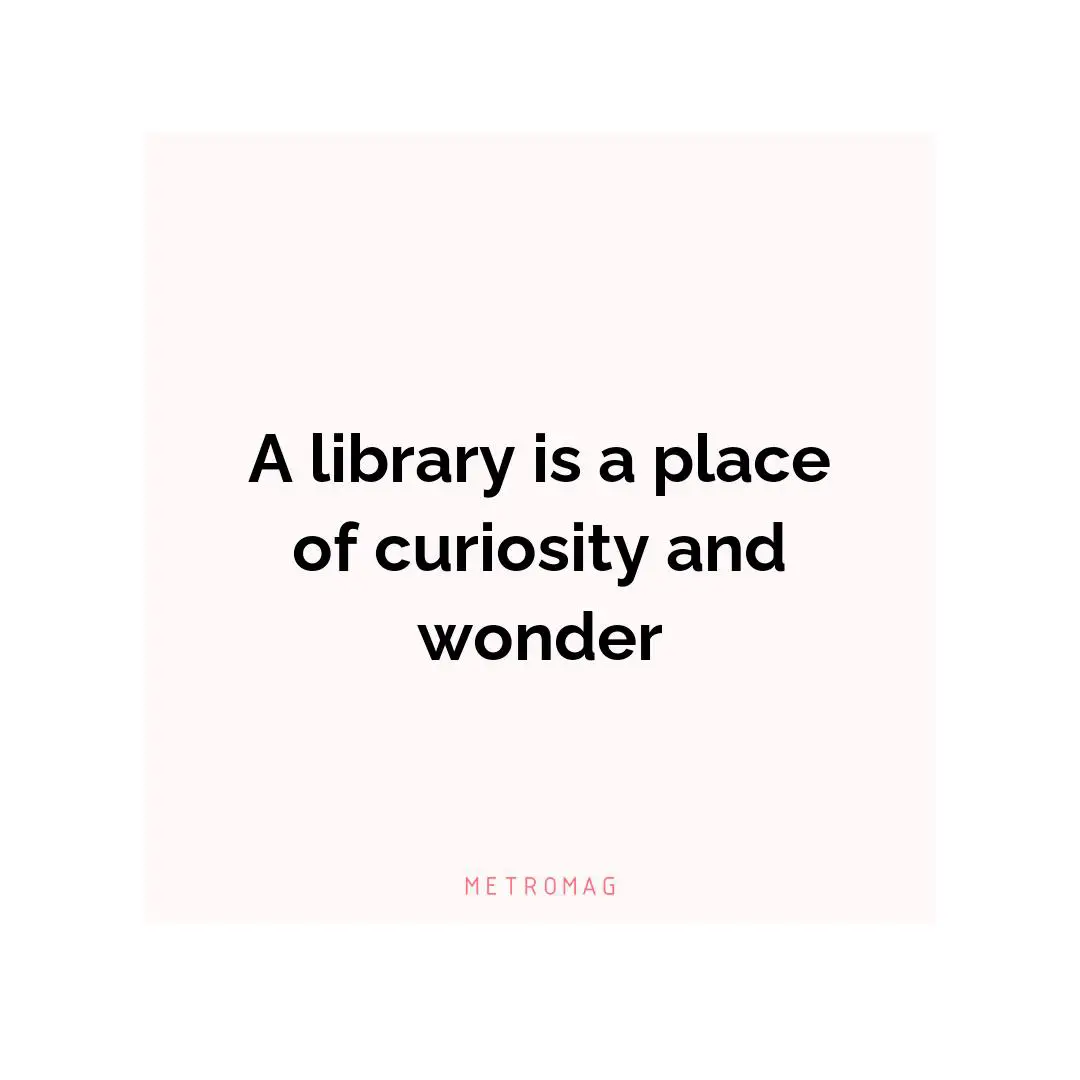 A library is a place of curiosity and wonder