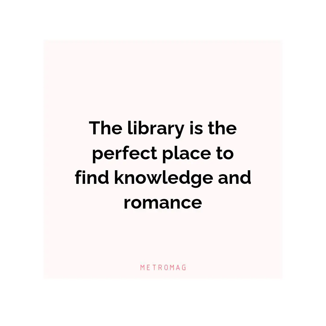 The library is the perfect place to find knowledge and romance