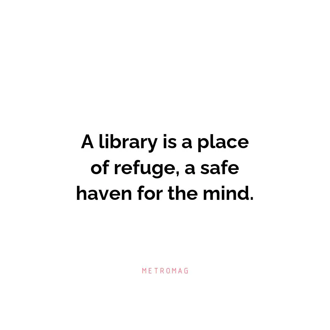 A library is a place of refuge, a safe haven for the mind.