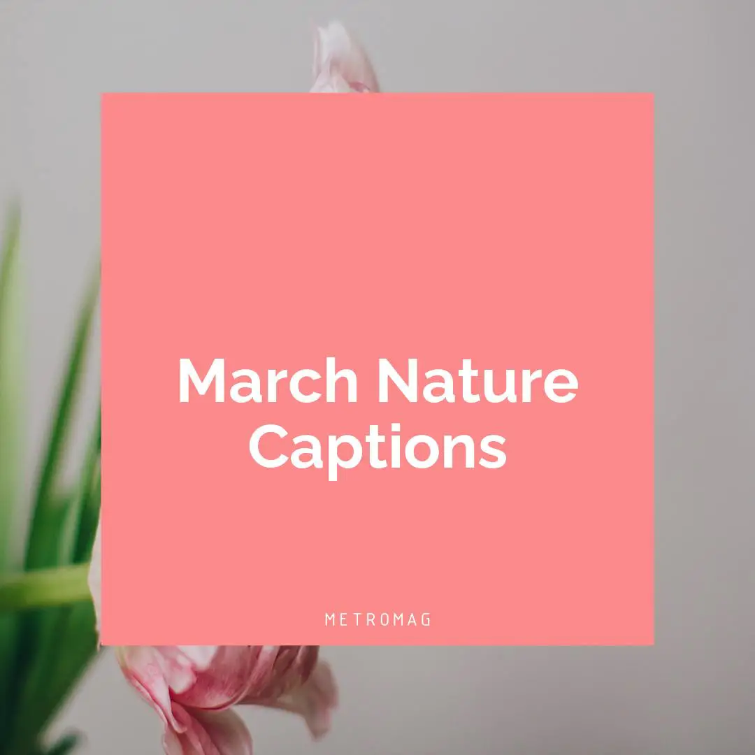March Nature Captions