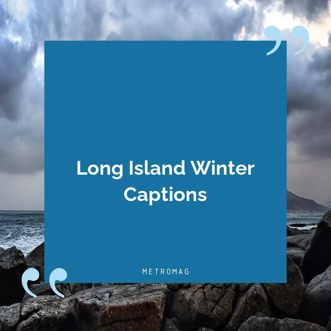 Long Island Winter Captions