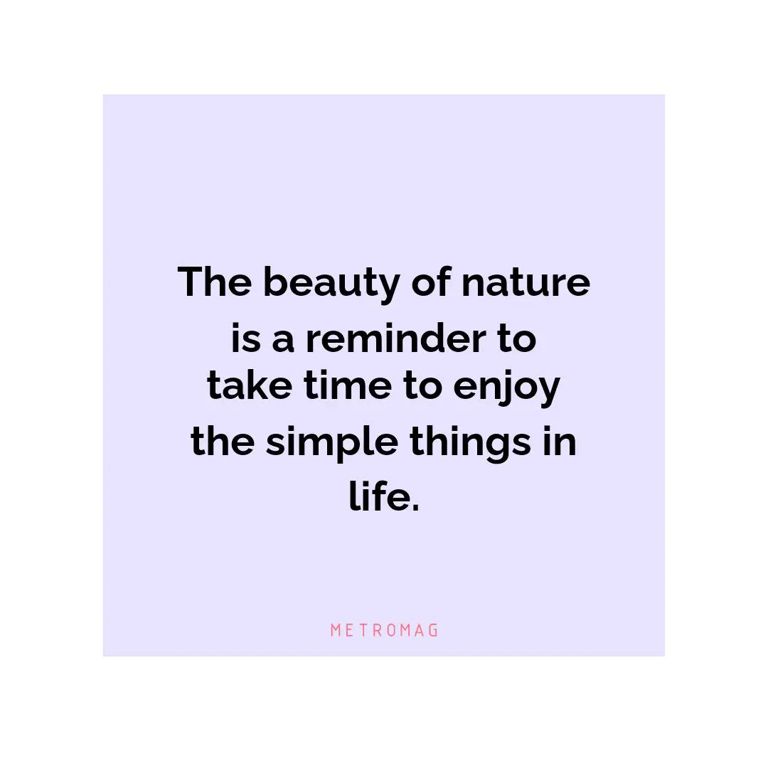 The beauty of nature is a reminder to take time to enjoy the simple things in life.