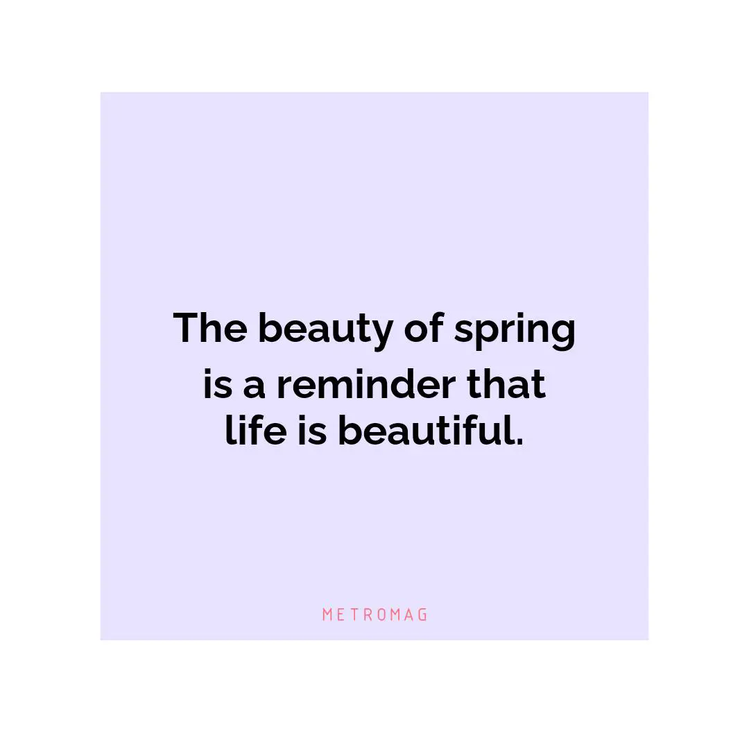 The beauty of spring is a reminder that life is beautiful.