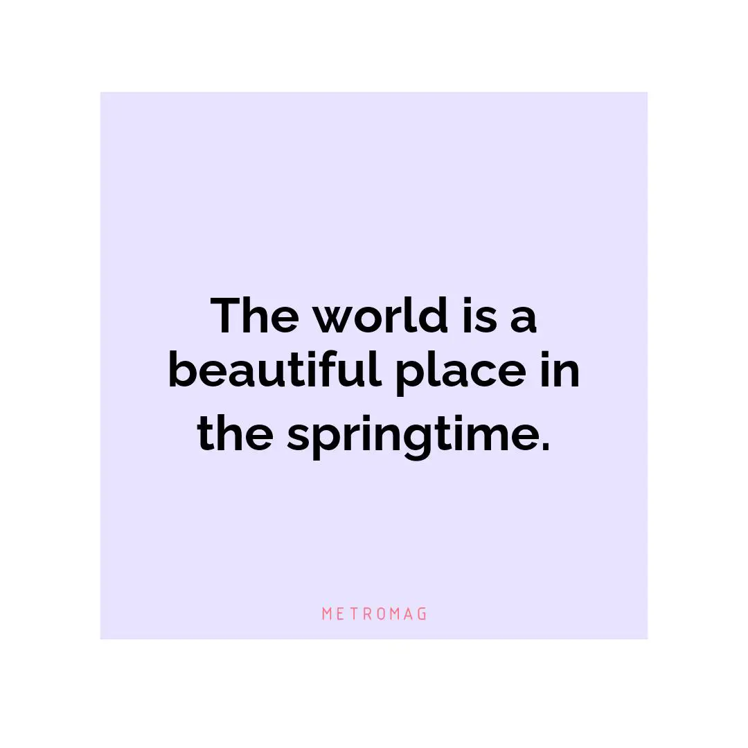 The world is a beautiful place in the springtime.