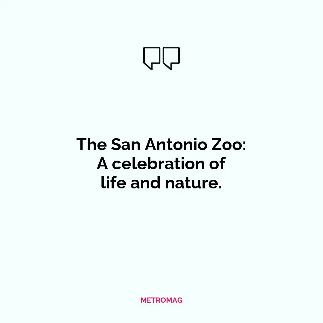 The San Antonio Zoo: A celebration of life and nature.