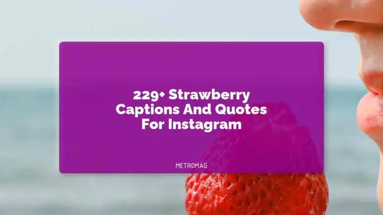 229+ Strawberry Captions And Quotes For Instagram