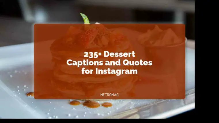 235+ Dessert Captions and Quotes for Instagram