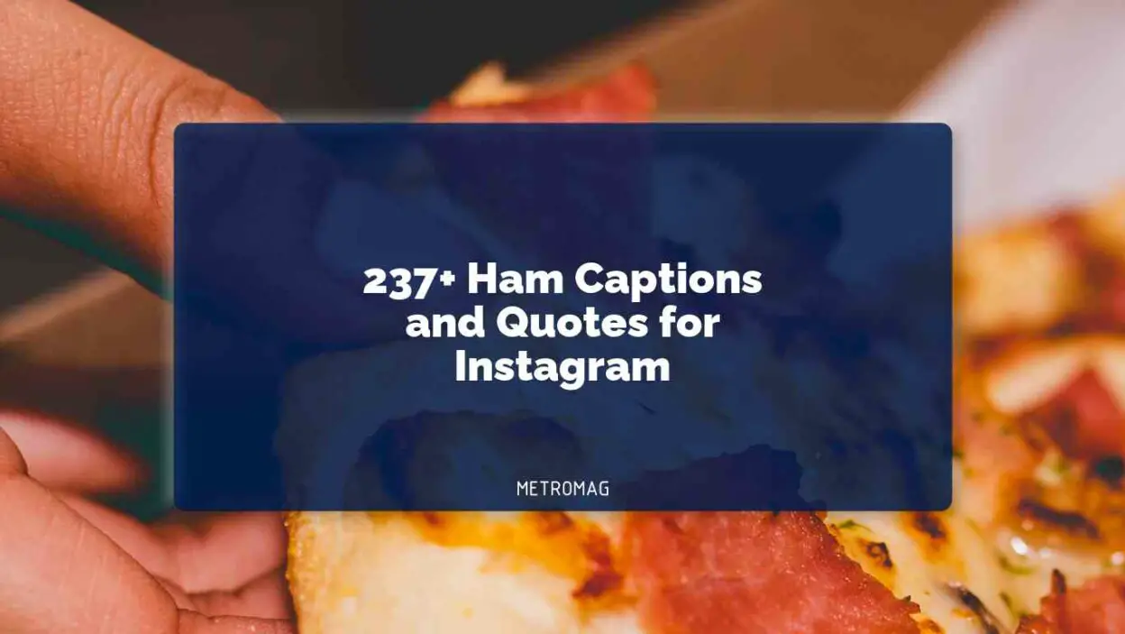 237+ Ham Captions and Quotes for Instagram