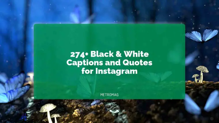 274+ Black & White Captions and Quotes for Instagram
