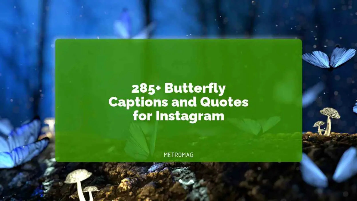 285+ Butterfly Captions and Quotes for Instagram