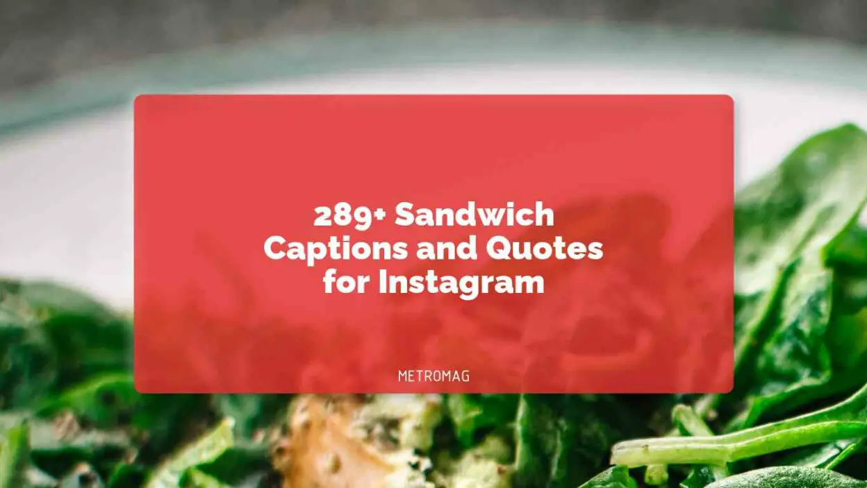 289+ Sandwich Captions and Quotes for Instagram