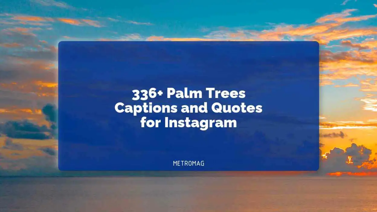 336+ Palm Trees Captions and Quotes for Instagram