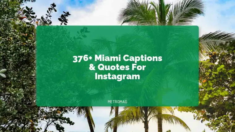 376+ Miami Captions & Quotes For Instagram
