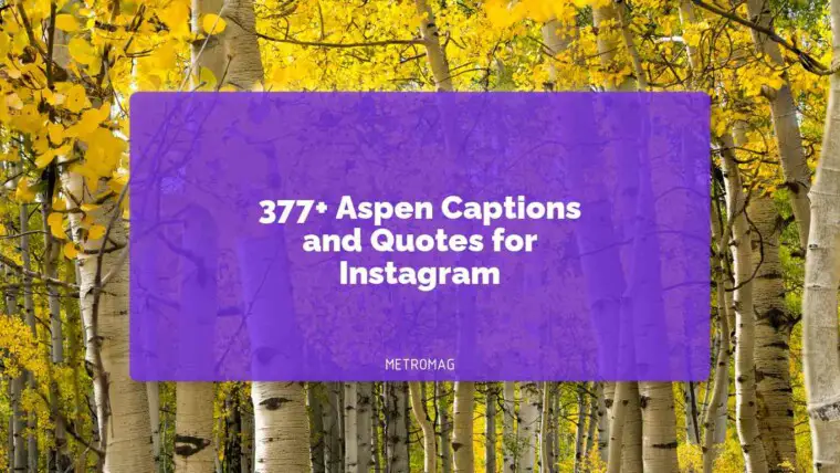 377+ Aspen Captions and Quotes for Instagram