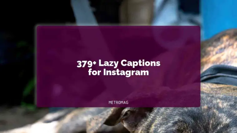 379+ Lazy Captions for Instagram