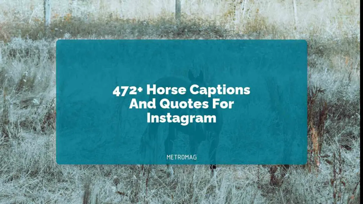 472+ Horse Captions And Quotes For Instagram