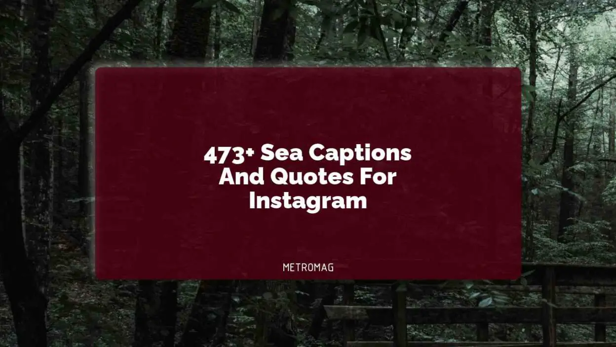 473+ Sea Captions And Quotes For Instagram