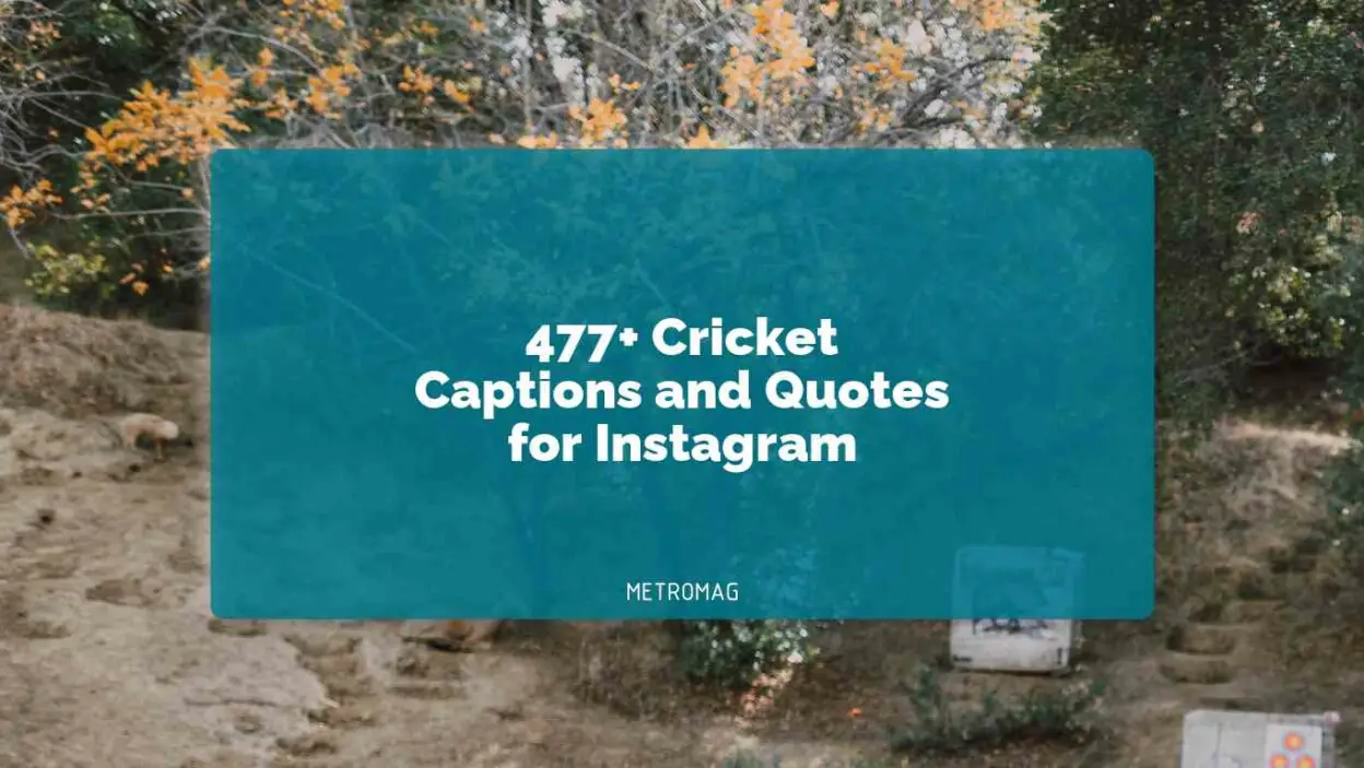 477+ Cricket Captions and Quotes for Instagram