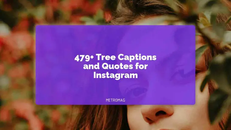 479+ Tree Captions and Quotes for Instagram