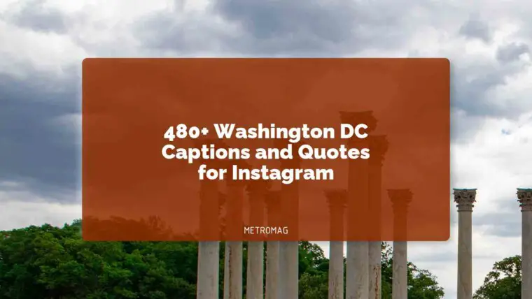 480+ Washington DC Captions and Quotes for Instagram