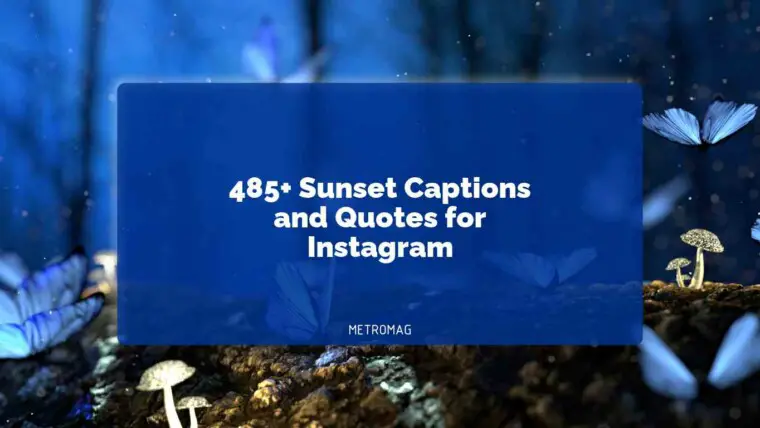 485+ Sunset Captions and Quotes for Instagram