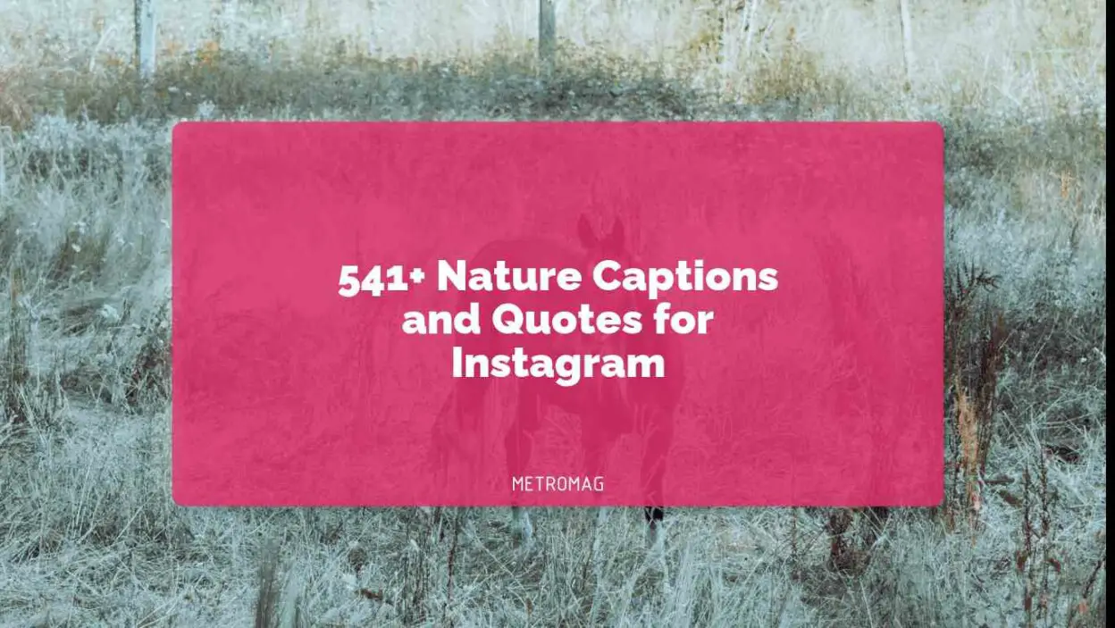 541+ Nature Captions and Quotes for Instagram