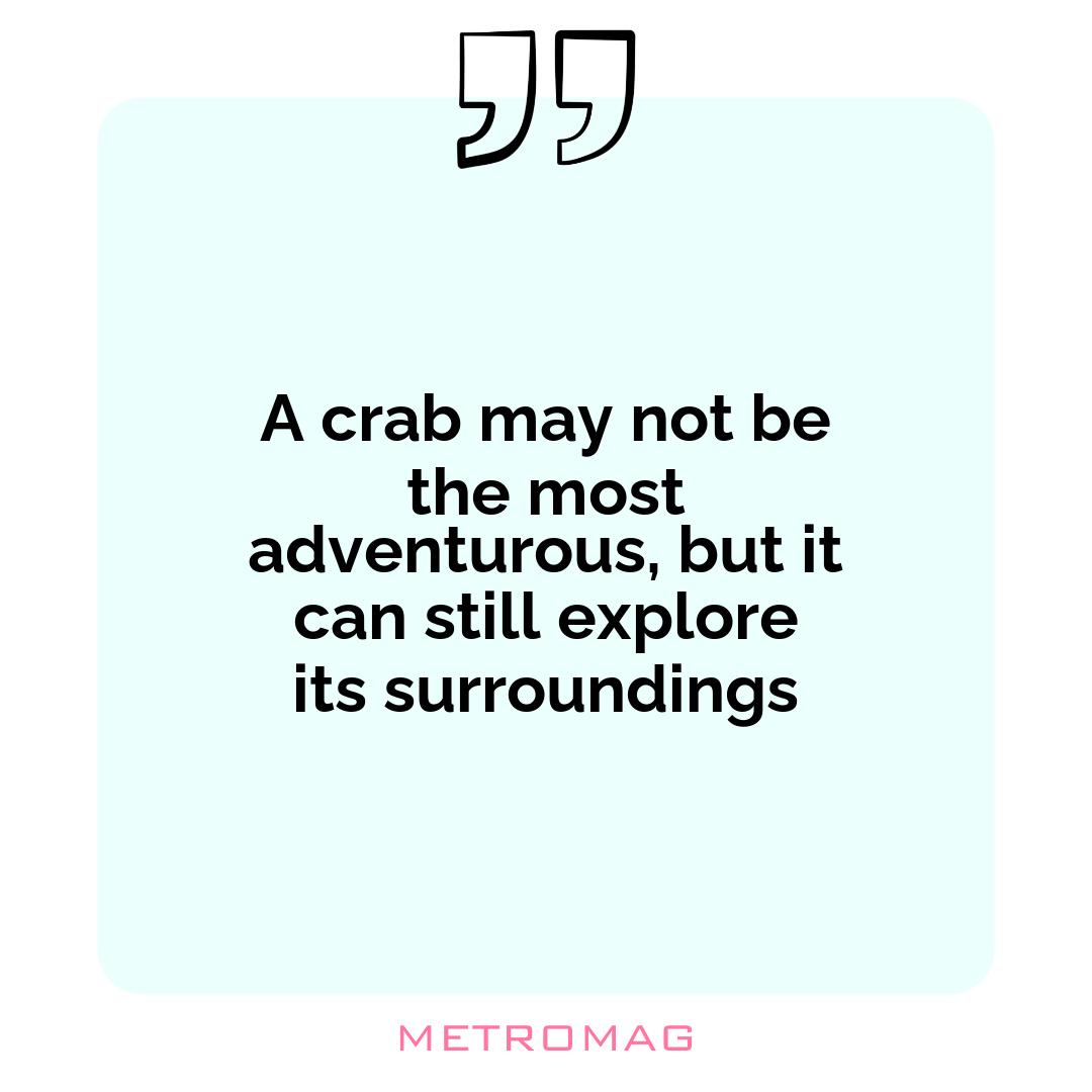 A crab may not be the most adventurous, but it can still explore its surroundings