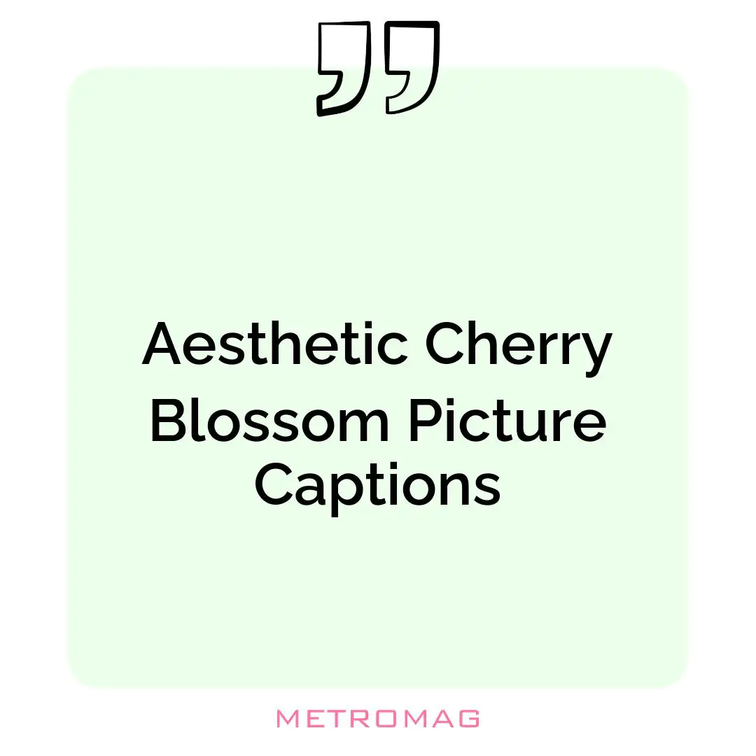 Aesthetic Cherry Blossom Picture Captions