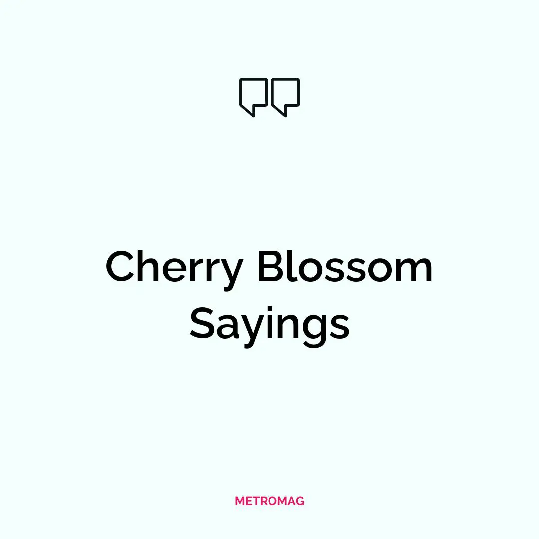 Cherry Blossom Sayings